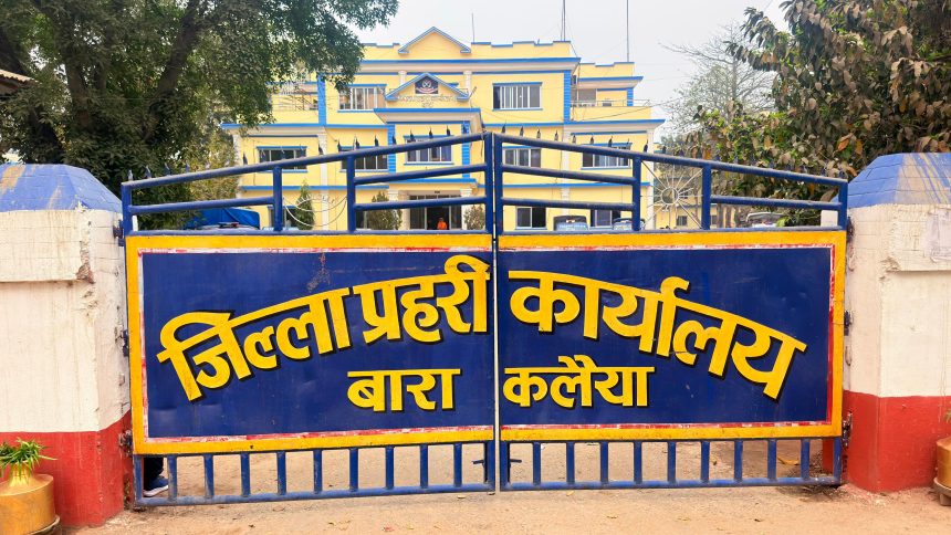 पचरौतामा १५१ किलो गाँजा बरामद, प्रहरी देखेपछि तस्करहरू खेतमै पोका फालेर फरार